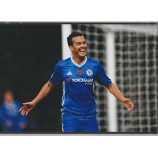 Signed photo of Pedro the Spain and Chelsea footballer. SALE